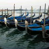 Venice Gondolas 100 100